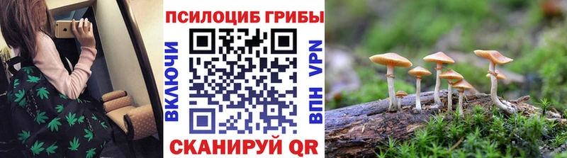 Галлюциногенные грибы Psilocybe  продажа наркотиков  Ясногорск 